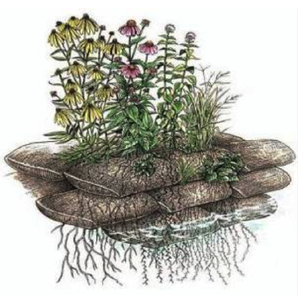 中小河道河流生态修复设计与施工
Design & construction for mid-small river
ecological restoration 中小河道河流生态修复设计与施工
Design & construction for mid-small river
ecological restoration
